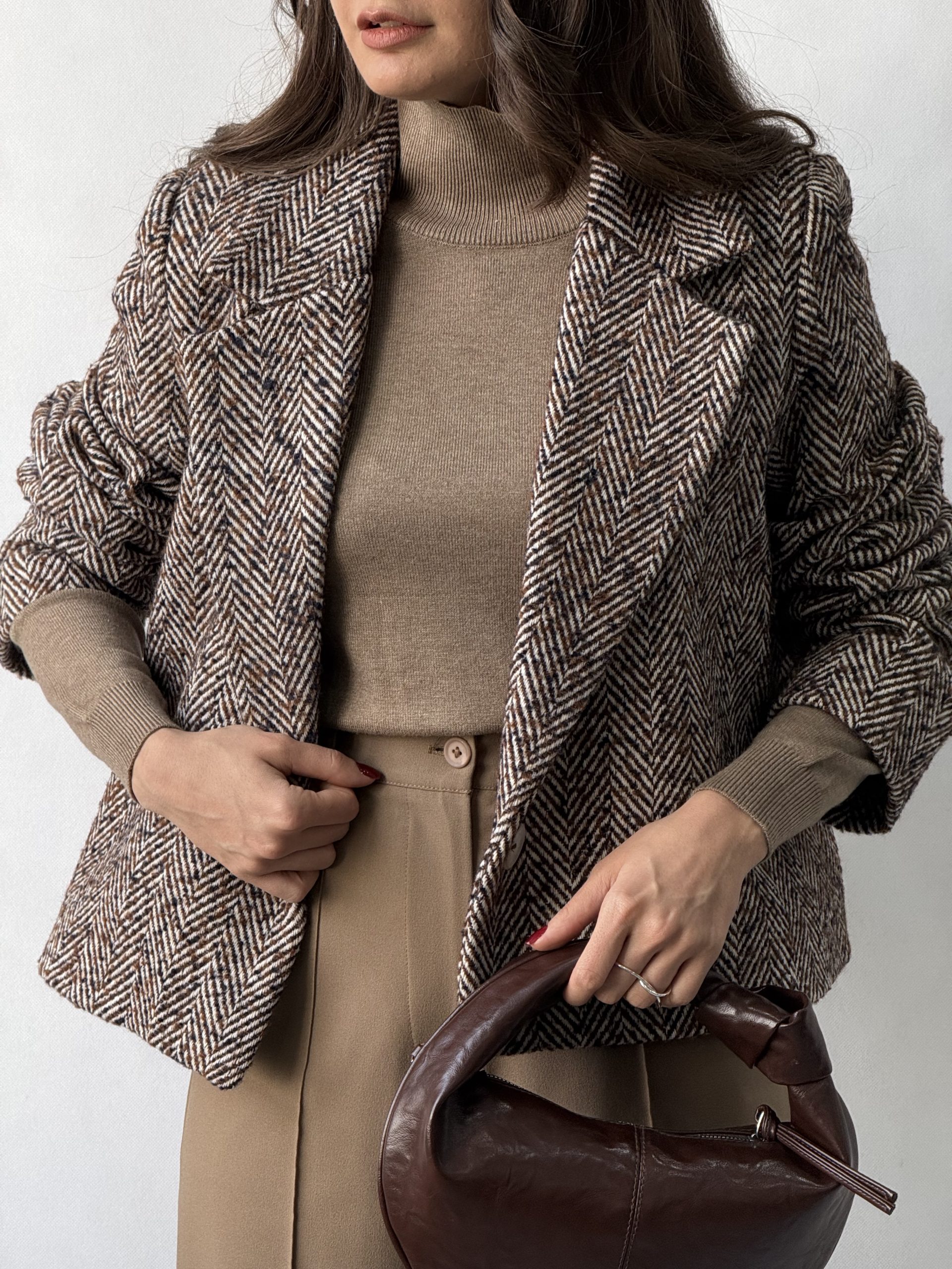 پالتو داریا